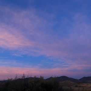 Meet your Posher, Jacey